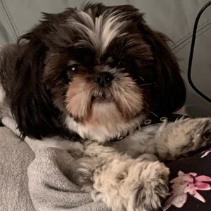 Meet your Posher, Cassidy